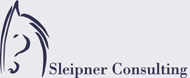 Sleipner Consulting